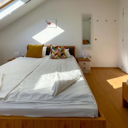 Tanyacsarda Panzio Bed and Breakfast Baja Exteriör bild